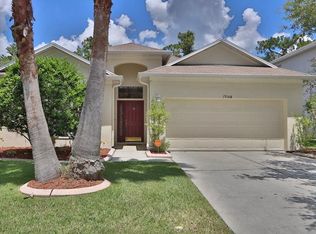 19108 Wood Sage Dr, Tampa, FL 33647