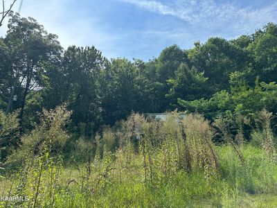 3222 Jenkins St, Knoxville, TN, 37921