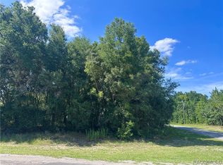 8258 N Pocono Dr, Dunnellon, FL 34434