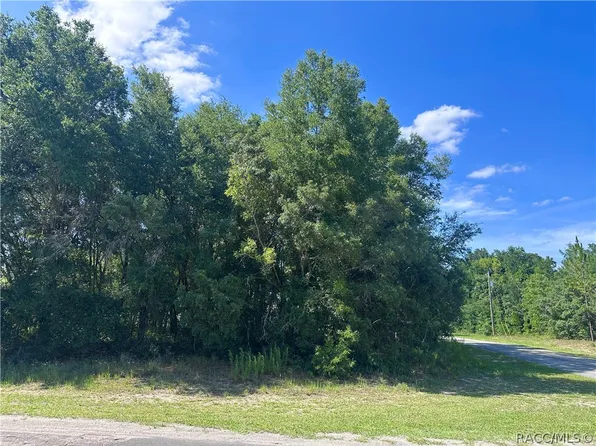 8258 N Pocono Dr, Dunnellon, FL 34434