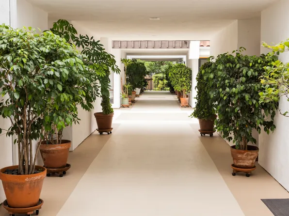 4931 Coldwater Canyon Ave APT 8, Sherman Oaks, CA 91423