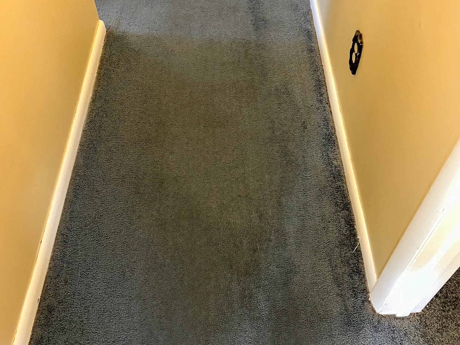 3 bed, 1450 sqft, $1,750 — Photo 3