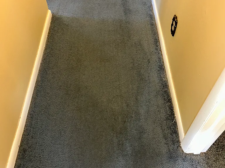 349 North Ave — Photo 3