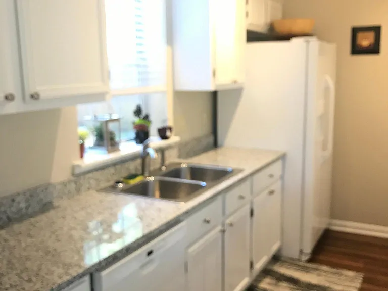415 Sherrels Frd — Photo 10