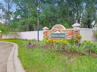 30031 Vienna Woods Ln, Wesley Chapel, FL 33545