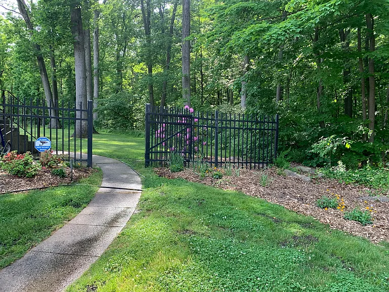Walkway to wooded backyard.