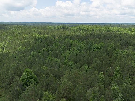 4th image of 0 Old State Highway 69