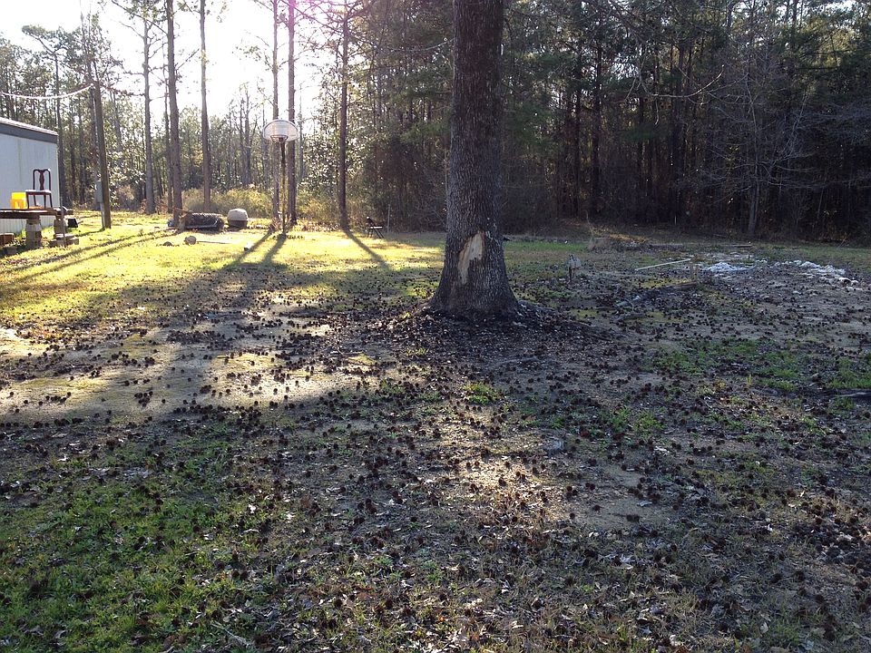 2nd image of 3163 Grays Creek Rd