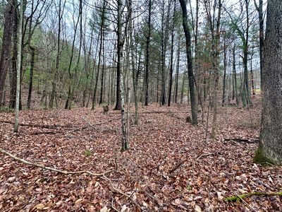 Pilot Rd #0, Pilot, VA, 24138
