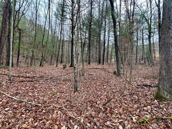 Pilot Rd, Pilot, VA 24138