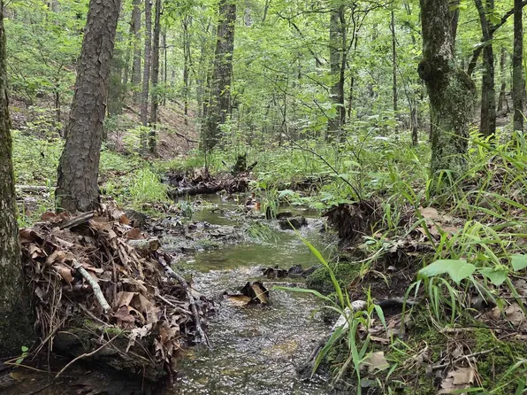 301 Chaparral Ln, Mena, AR 71953