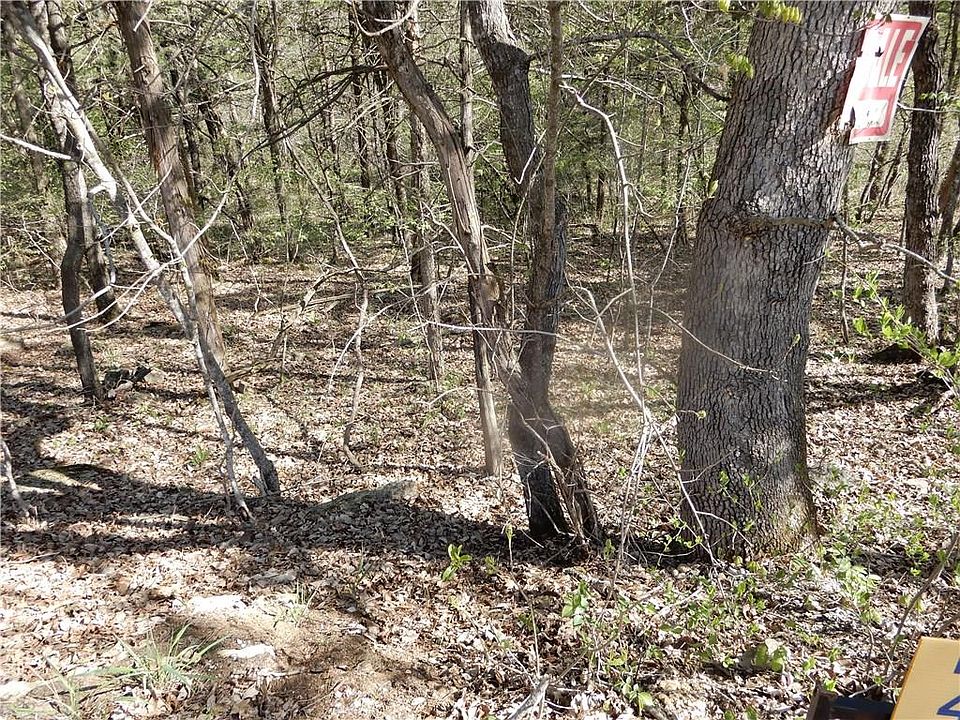 2nd image of Puma Ln