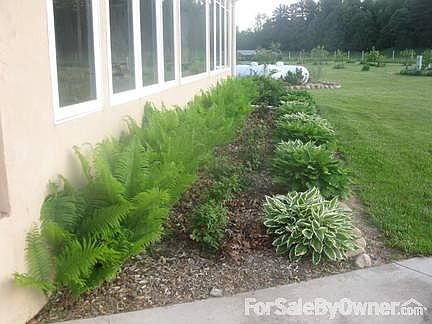 Front Flower Bed
						:
						Roses, ferns, and hostas
