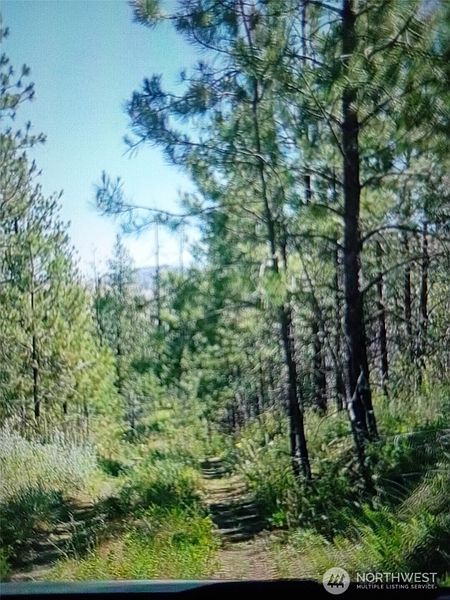 3rd image of 111 TBD J H Green RD