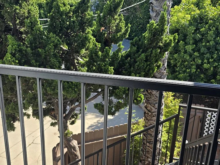 View from the back entrance