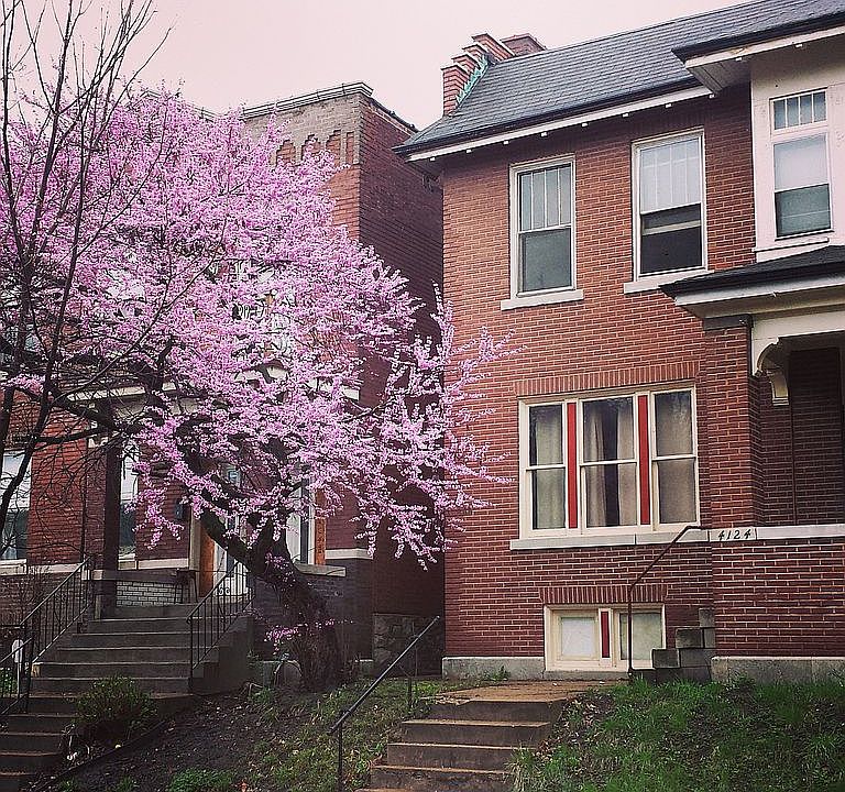 1st image of 4124 Botanical Ave