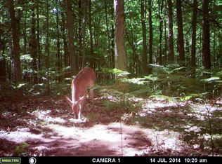 16075 Baldwin Rd, Chesaning, MI 48616