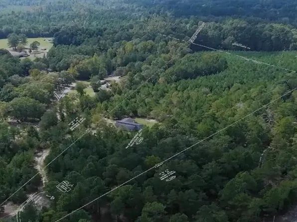16369 Palmer Road, Marston, NC 28363