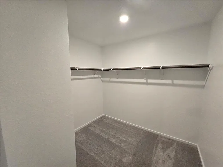 29035 Pearl Barley Way — Photo 12