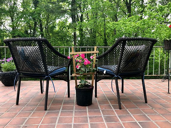 Quiet back porch with a view