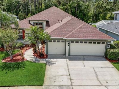 12712 Tar Flower Dr, Tampa, FL, 33626