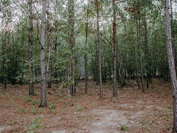 3rd image of LOT 3 Nighthawk Loop