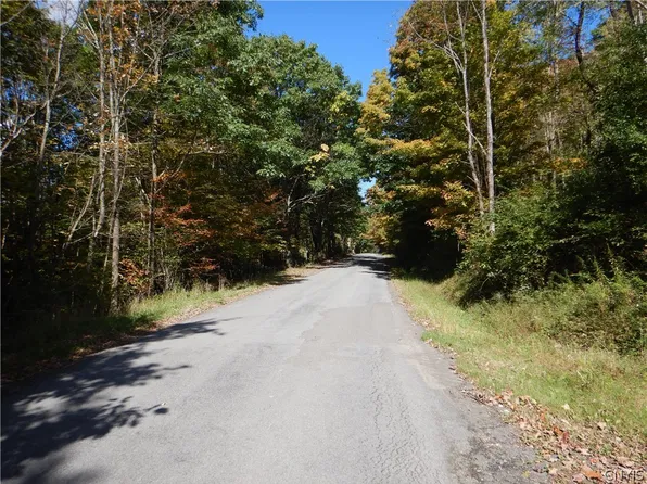 Phillips Rd, Windsor, NY 13865