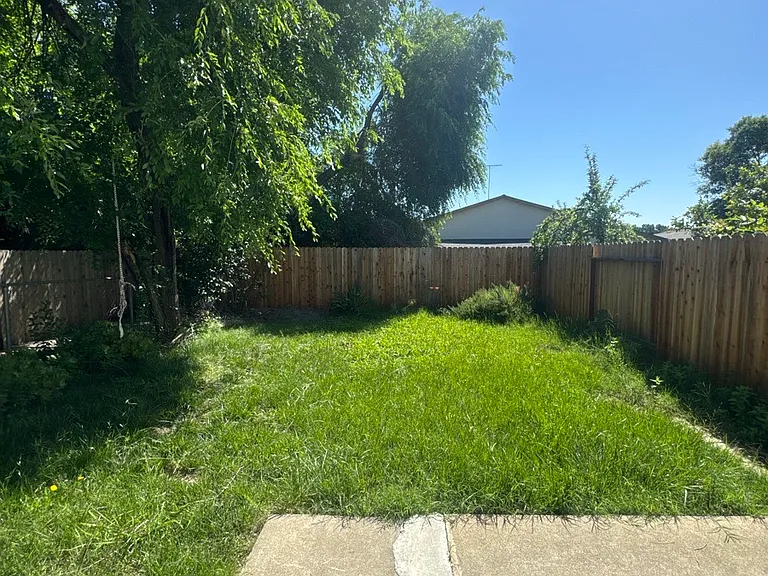 backyard_05062026