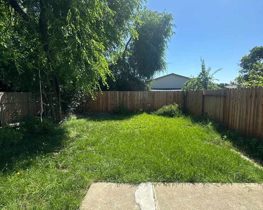 backyard_05062026