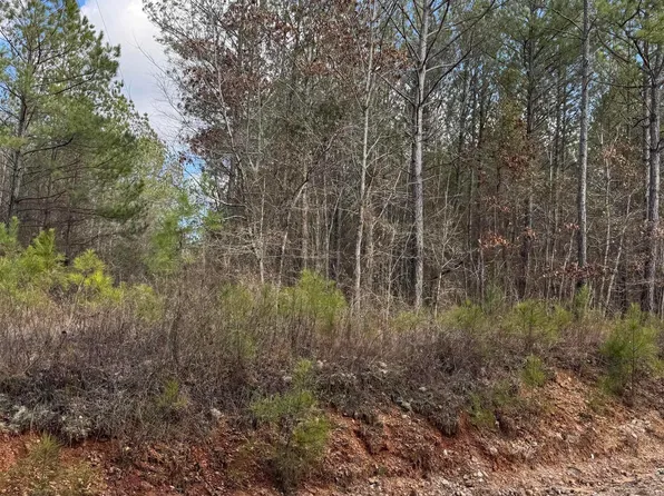 LOT 7/county Rd Lot 823-7, Wadley, AL 36276