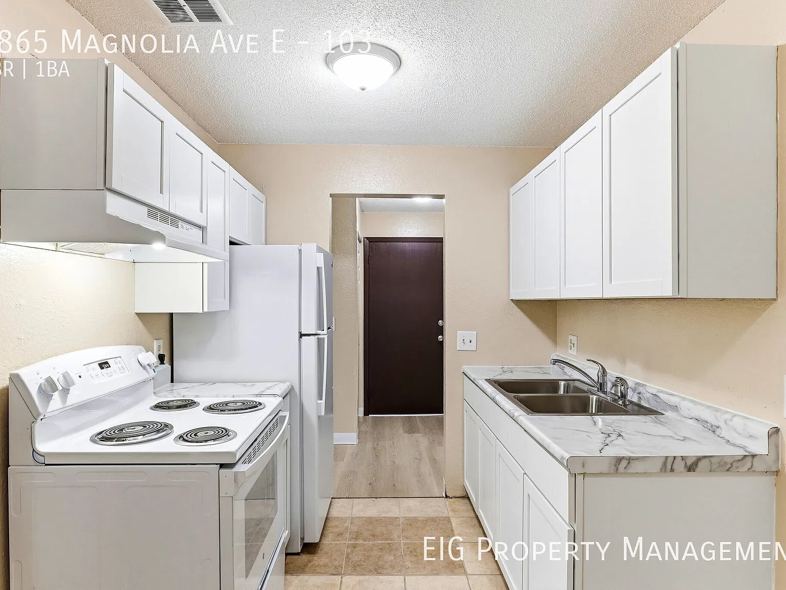 Magnolia — Photo 2