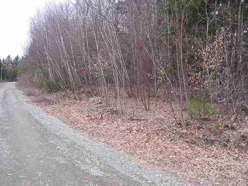 4th image of 0 PLANK Road