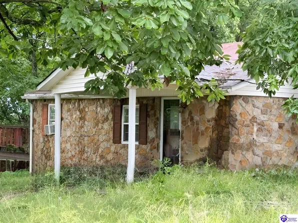 797 Gap Hill Rd, Cub Run, KY 42729