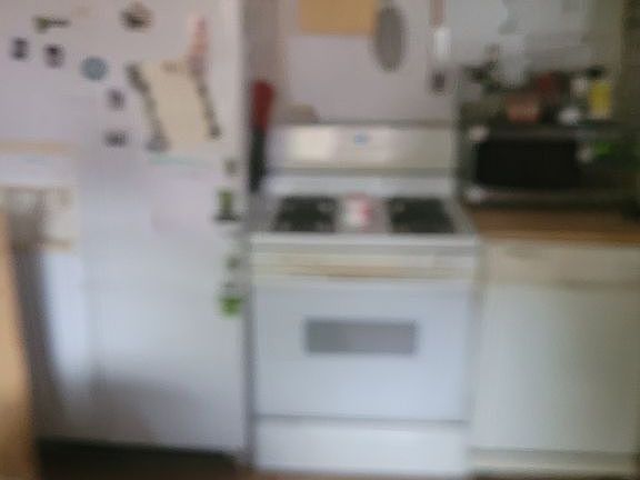 5th image of 1029 Lorene Ave