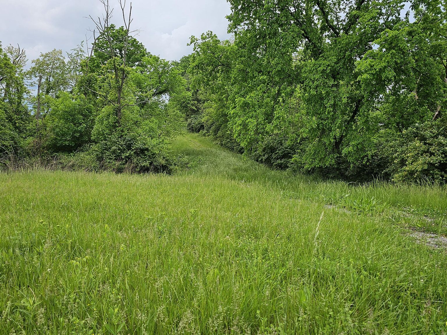 4686 Muddy Ford Rd, KY 40324 MLS 24009234 Zillow