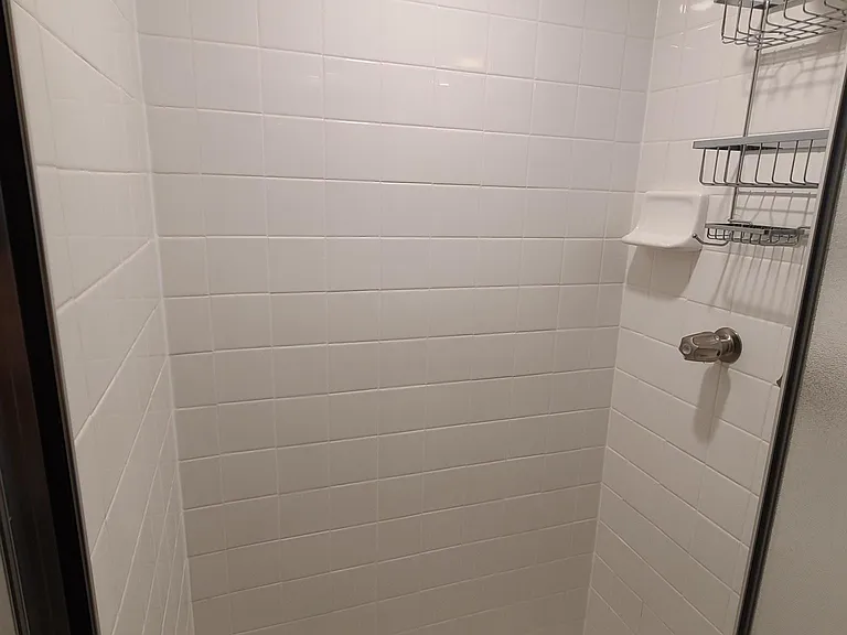 Shower in bathroom
