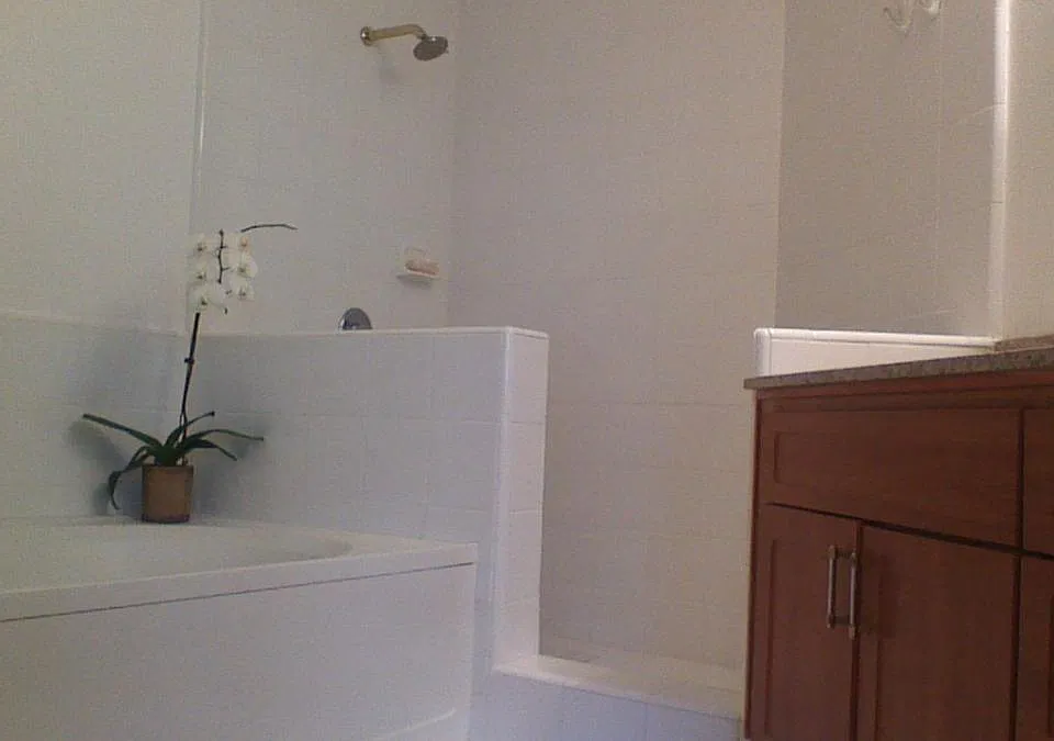 Master Bathroom and Shower Room