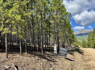 776 Spruce Dr, Twin Lakes, CO 81251