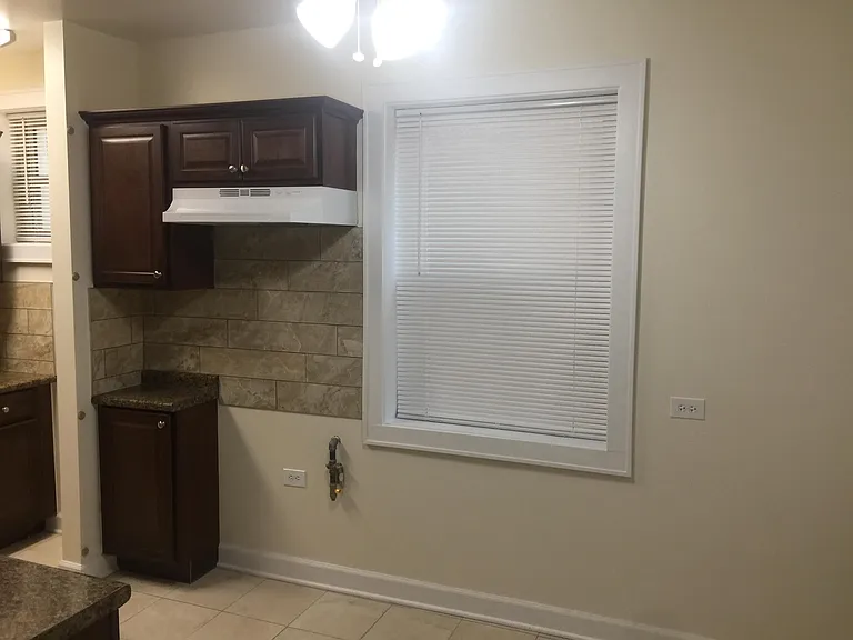 9121 S Laflin St #1N-9121-1N — Photo 47