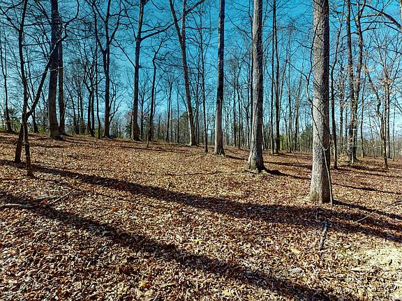3rd image of 0 E Oak Dr Lot 44