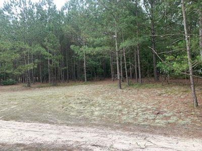 NULLB Keys Pond Rd, Ridge Spring, SC, 29129