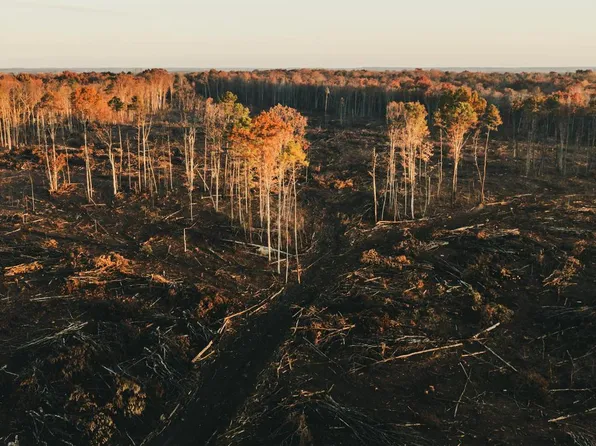 12600 W Catharpin Rd, Spotsylvania, VA 22551