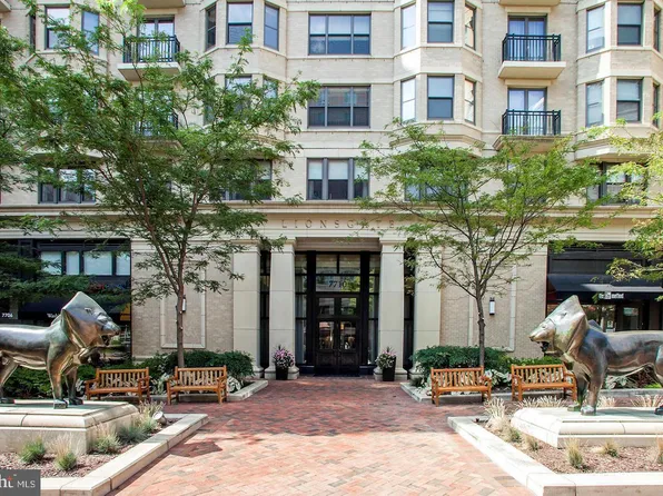 7710 Woodmont Ave APT 313, Bethesda, MD 20814