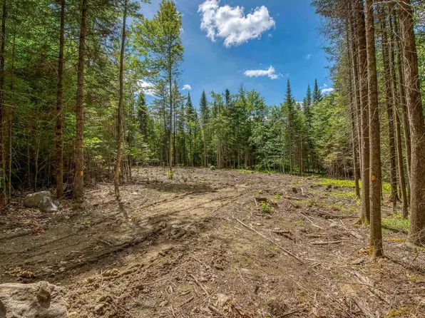 12 Bear Paw Trail #1-2, Littleton, NH 03561
