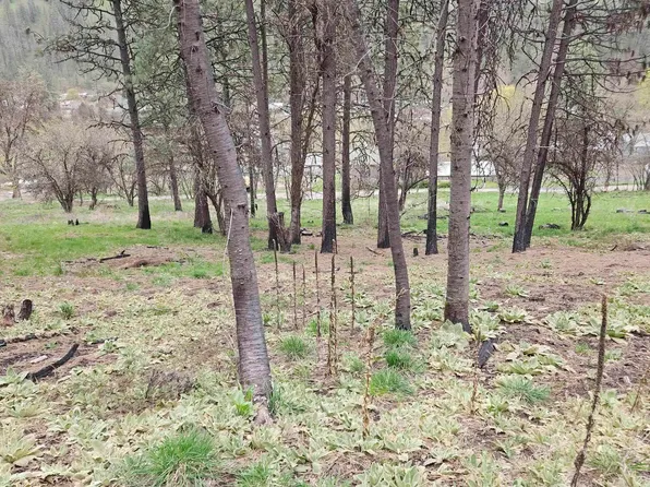 May St Lot 8, Peck, ID 83545