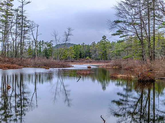 5th image of 515 Bickford Pond Road