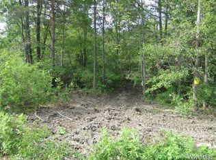 V L Powers Rd, Orchard Park, NY 14127