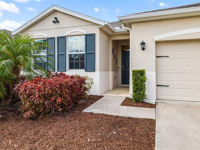 4119 Mossy Limb Ct, Palmetto, FL, 34221