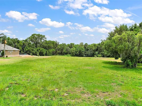 SE 156th Ln Lot 9, Weirsdale, FL 32195