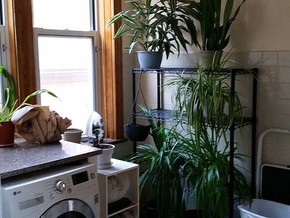 3rd image of 851 N Hoyne Ave APT 3R